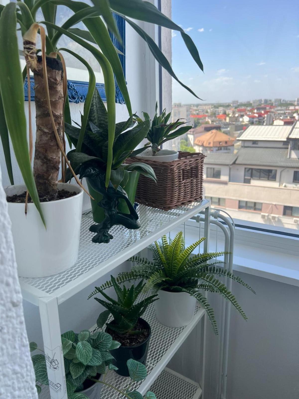 1Bdr Apartment Perla 225 Βουκουρέστι Εξωτερικό φωτογραφία
